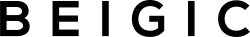 logo PAGE INC